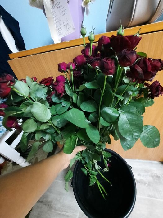 Розы в отличном состоянии