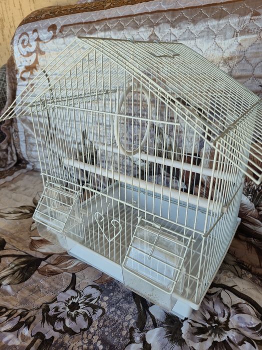 Клетки для попугаев