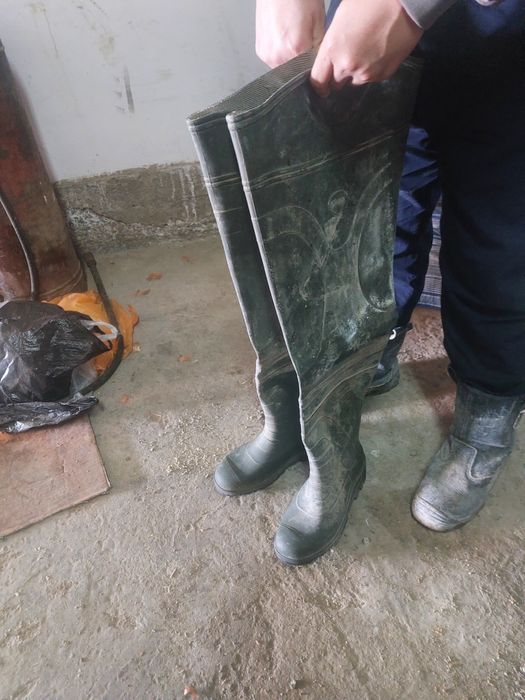 Резиновый сапоги