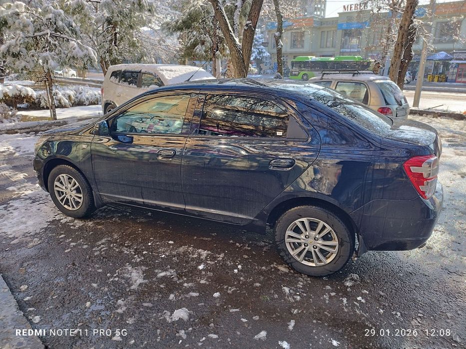 2023/2024 краска тозза