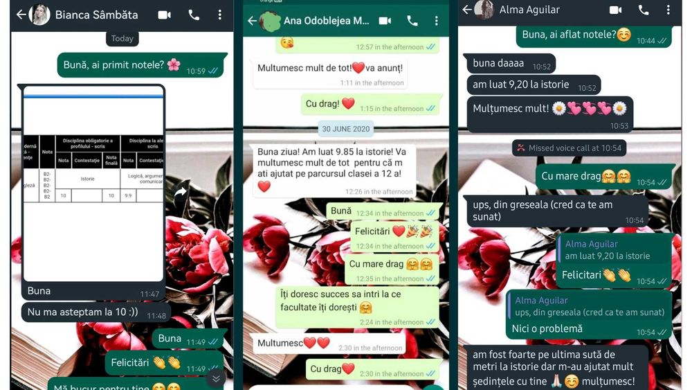 Meditatii bac istorie online 2025 / Pregatire bacalaureat