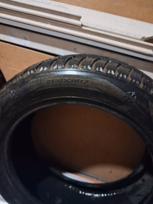 Продам зимний ризина