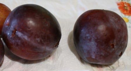 Pomi Străvechi Glia Strămoșească (Soiuri de PRUN)