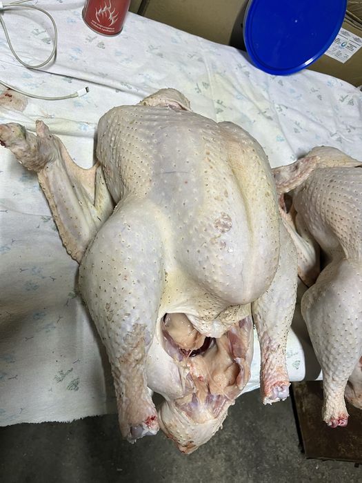 Продам мясо индюка