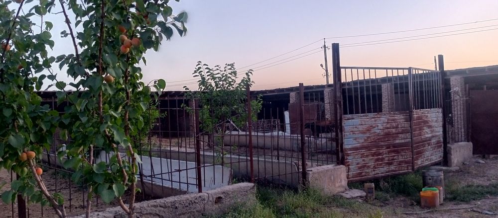 Ҳовли уй жой сотилади ферма қилиш учун мўлжалланган