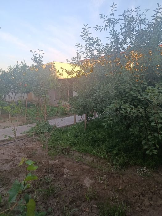 Коттедж сотилади