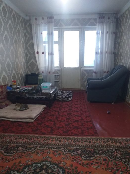 Ижара 1 хонали. Киргили