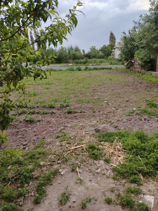 yer uchaskasi sotiladi, manzil: toshkent viloyati quyichirchiq tumani