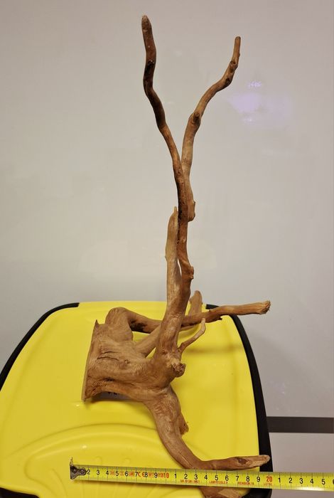 Vand red moor wood pentru acvariu