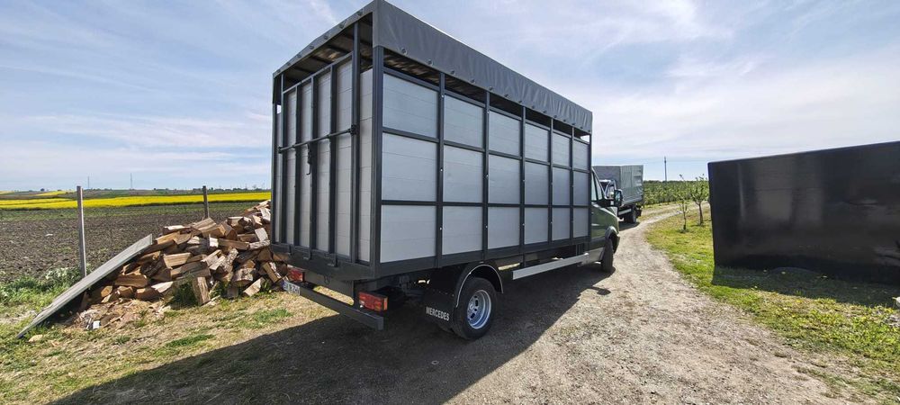 Mercedes Sprinter 515 CDI,  Transport animale, 2007
