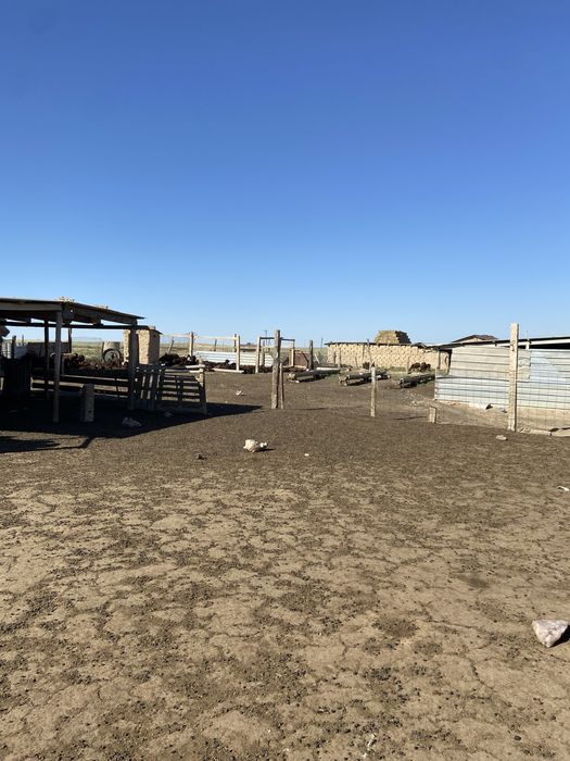 Фазенда қора сатылады