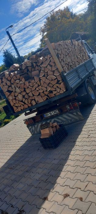 Lemne! JUD:BIHOR Esenta tare!!