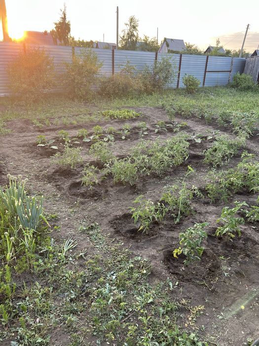 Продам дачу СО Колос!