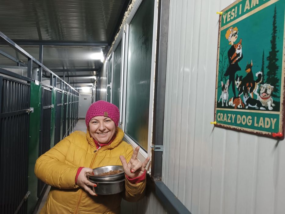 Pensiune canina Brasov