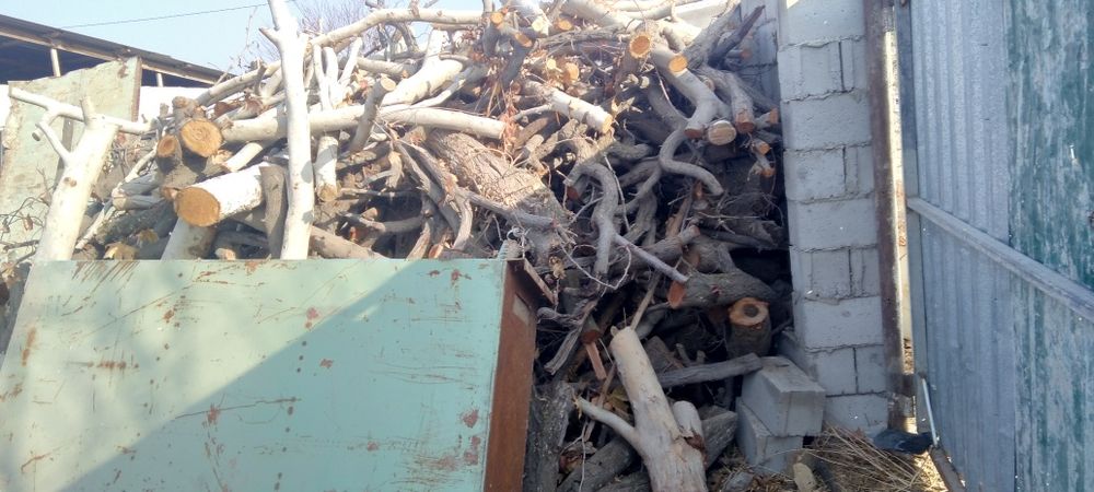 O'tin sotilade ho'l quruq aralash zaldore chinor tut o'tinlar katta ka