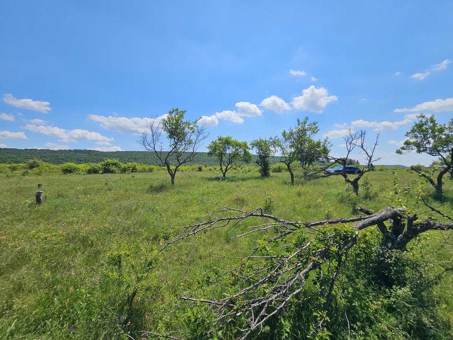 Teren EXCEPȚIONAL Colibași | Priveliște panoramică spre Pitești | Ideal casă sau investiție