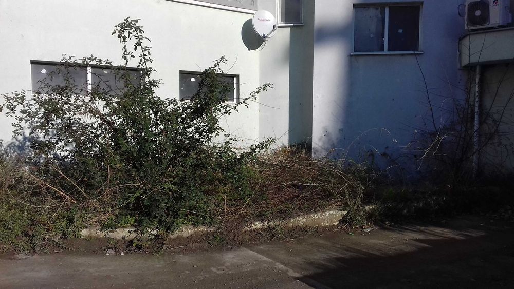 паркомясто под наем