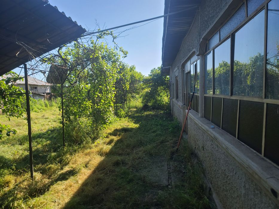 Teren cu casa, 6600 mp, 13€mp, Buturugeni, langa Bucuresti