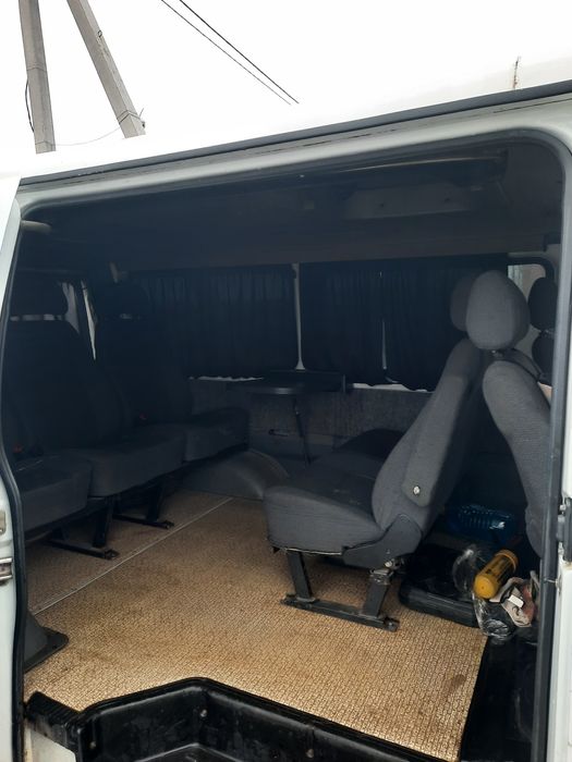 Газель соболь баргузин