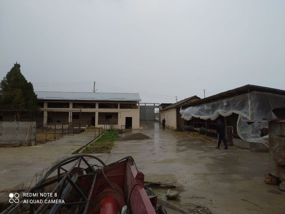 Ferma Yangi yo'lda sotildi Hamroqulda