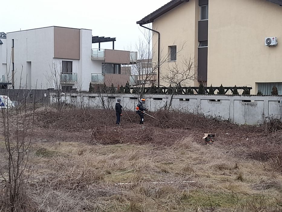 Tăiere copaci defrisari curățare Debarasare evacuare moloz transport