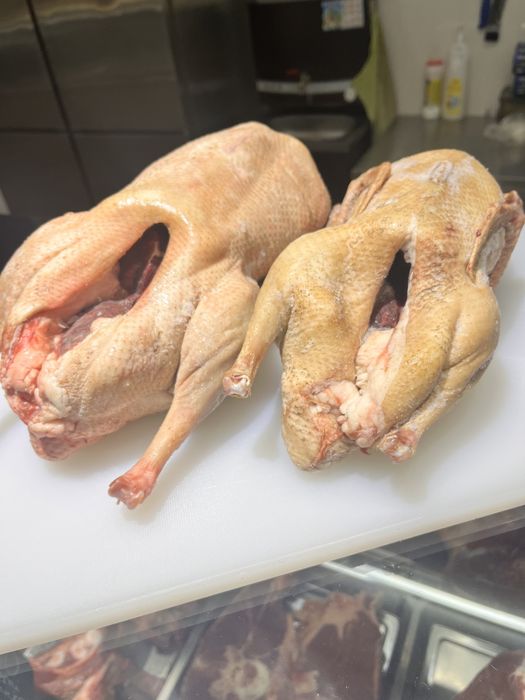 Домашние гуси,утки