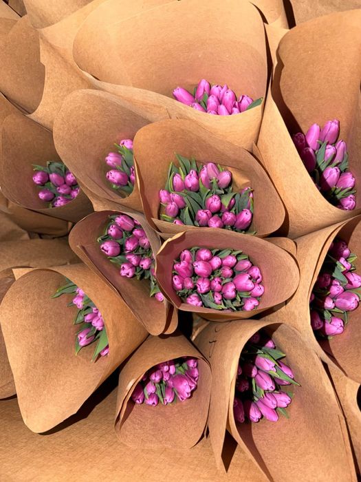 Тюльпаны по низкой цене