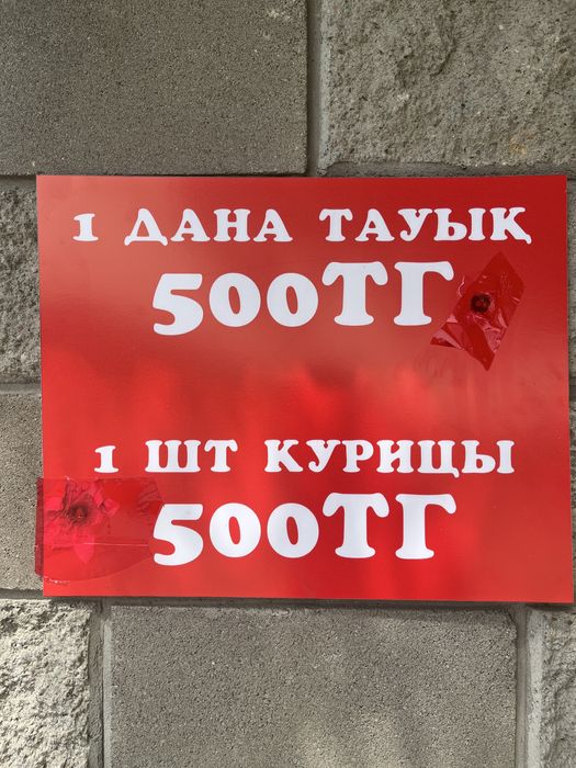 Курицы Тауық AYKUS