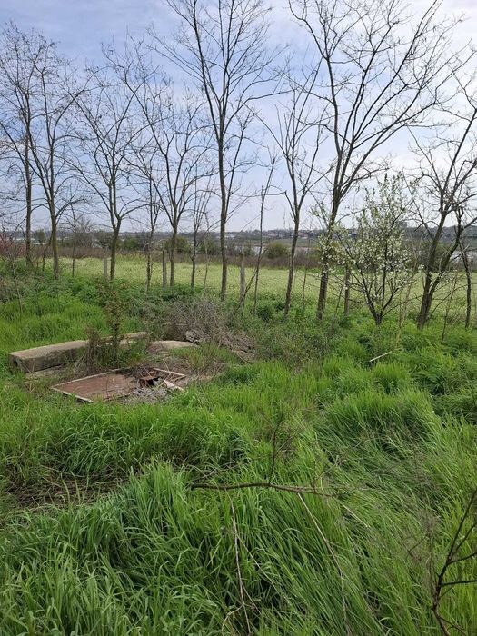 Teren intravilan Tuzla, 2500mp, deschidere 45m, oportunitate excelenta