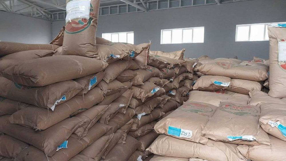 Urug'lik chigit (Tindirilgan)