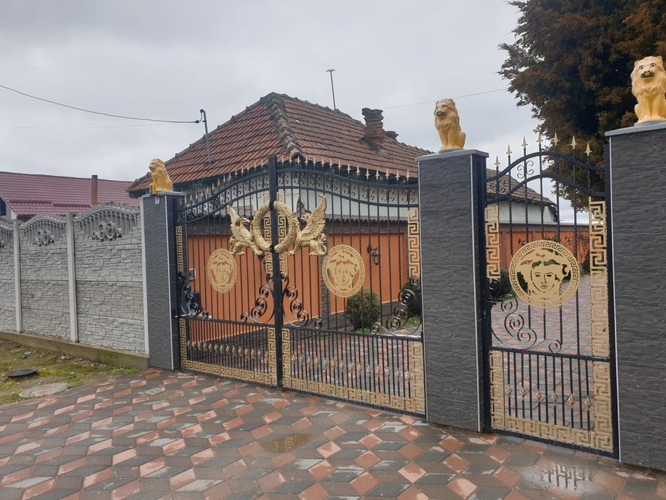 Porti din fier forjat