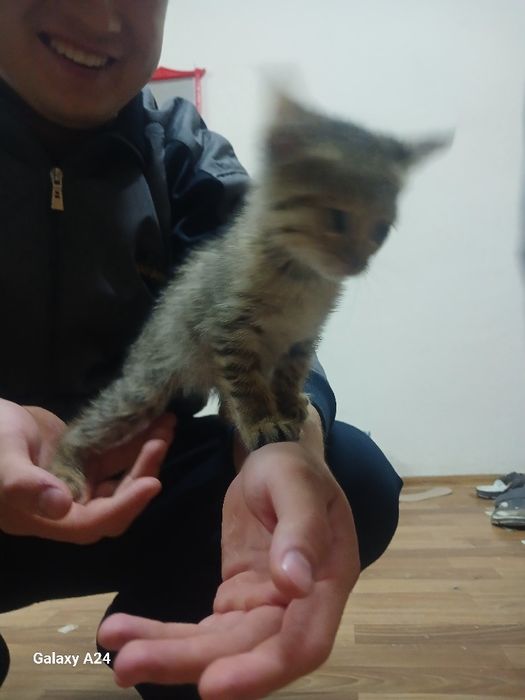 Shundoq kelsangiz berib yuboraman