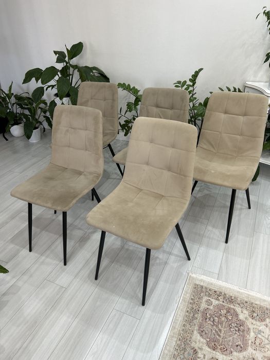 Продам стулья 5 шт.