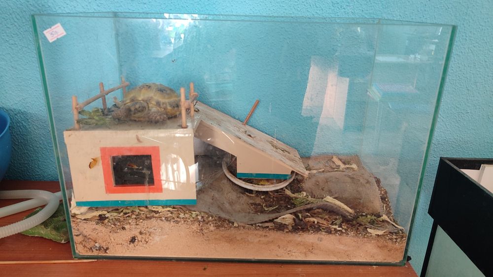 Продам аквариум для рыбок!