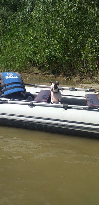 Лодка Ривьера 3200