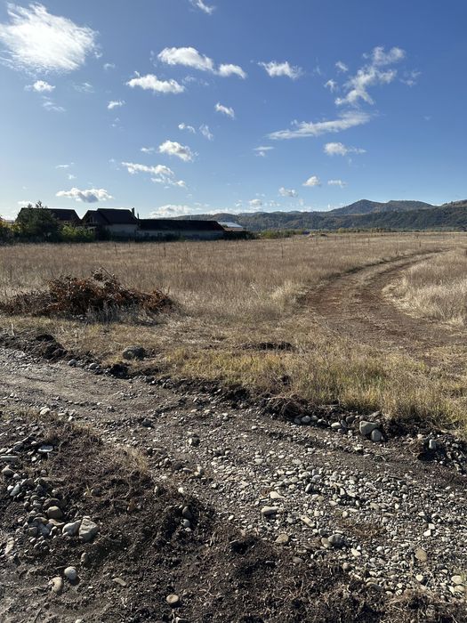 Teren Dumbrava Rosie deschidere 18,5m la DN