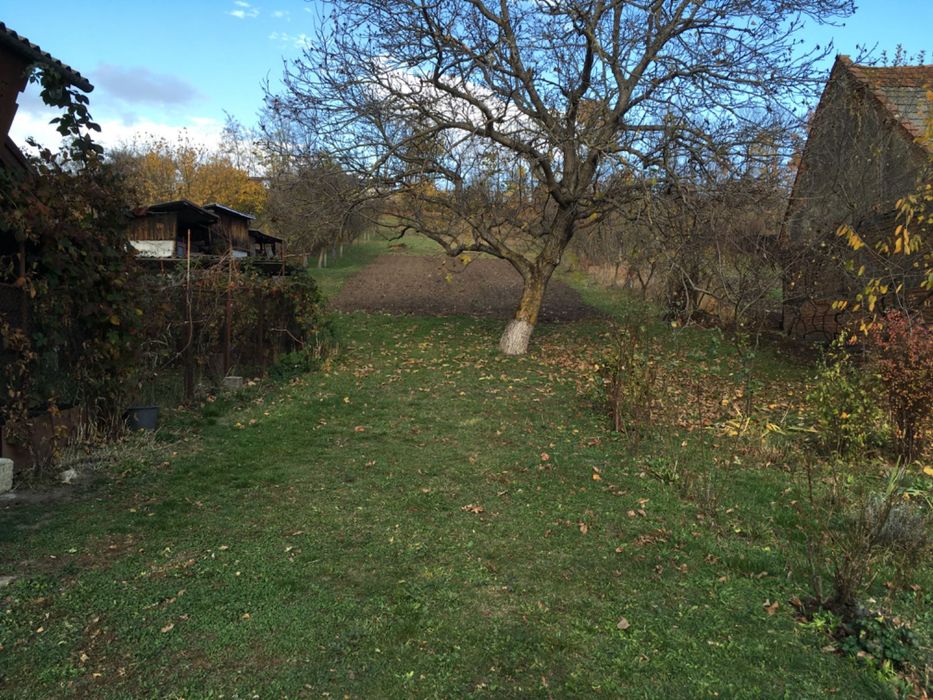 teren intravilan Sâncraiu, 4600 mp de vânzare