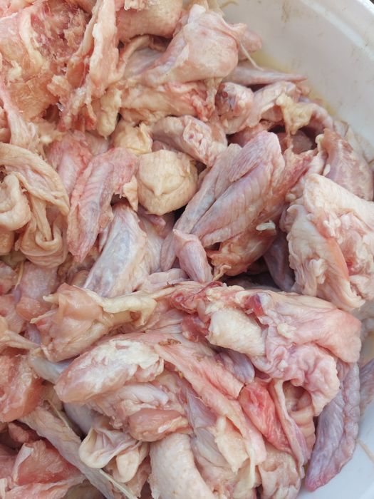Для кошек и собак