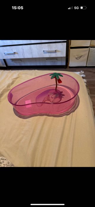 Acvariu terariu cu palmier țestoasă