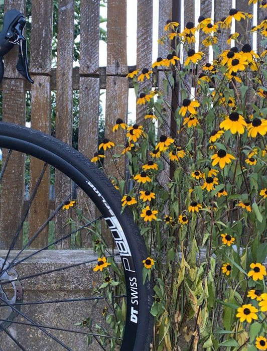 Bicicleta Rose Pro SL DISC