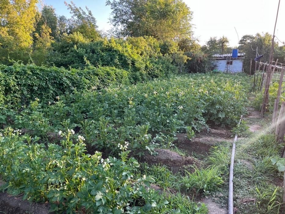 Дача на Спутнике