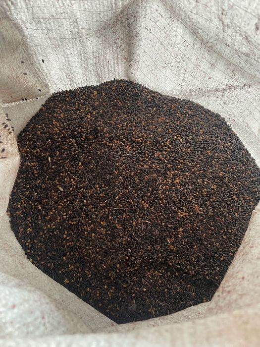 Пшеница.Платный чат!Все корма.