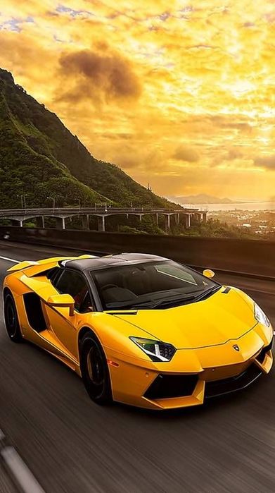 Трезвый водитель межгород