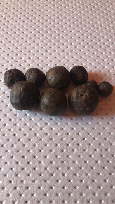 Прополис пчелиный