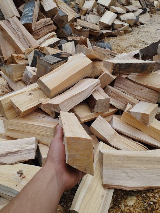 Lemne de foc fag capete uscate sau verzi 600lei tona sau la metru ster