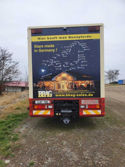 DAF AF95XF  transport cai