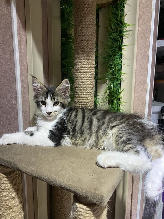 Мейн кун WCF в Астане готов к переезду