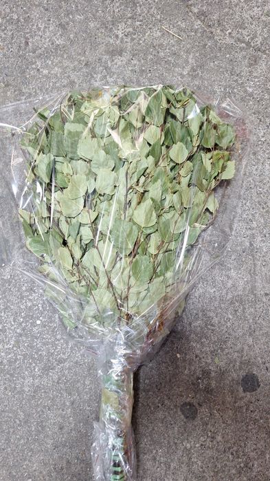 Веник для бани и сауна