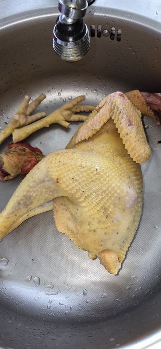 Cocoșii de casă tineri ,tăiați și vii