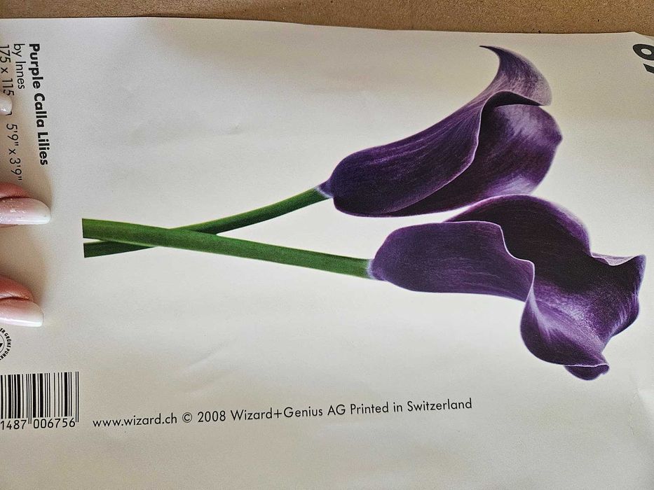 Tapet Purple Calla Lilies 115x175 cm